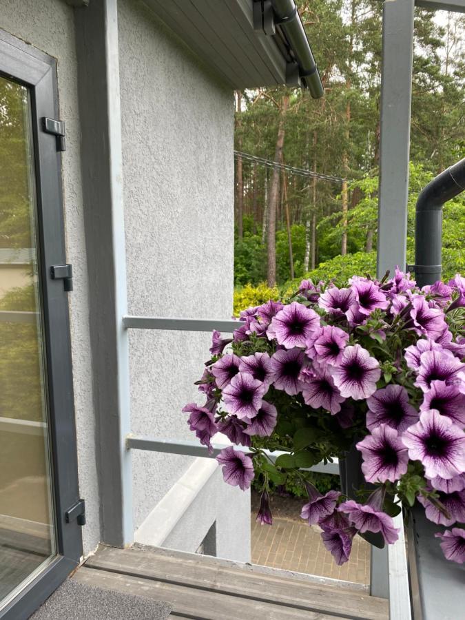 9 Mezmalas Iela Jūrkalne Exterior foto